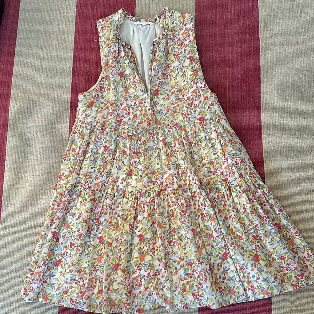 BB Dakota minidress